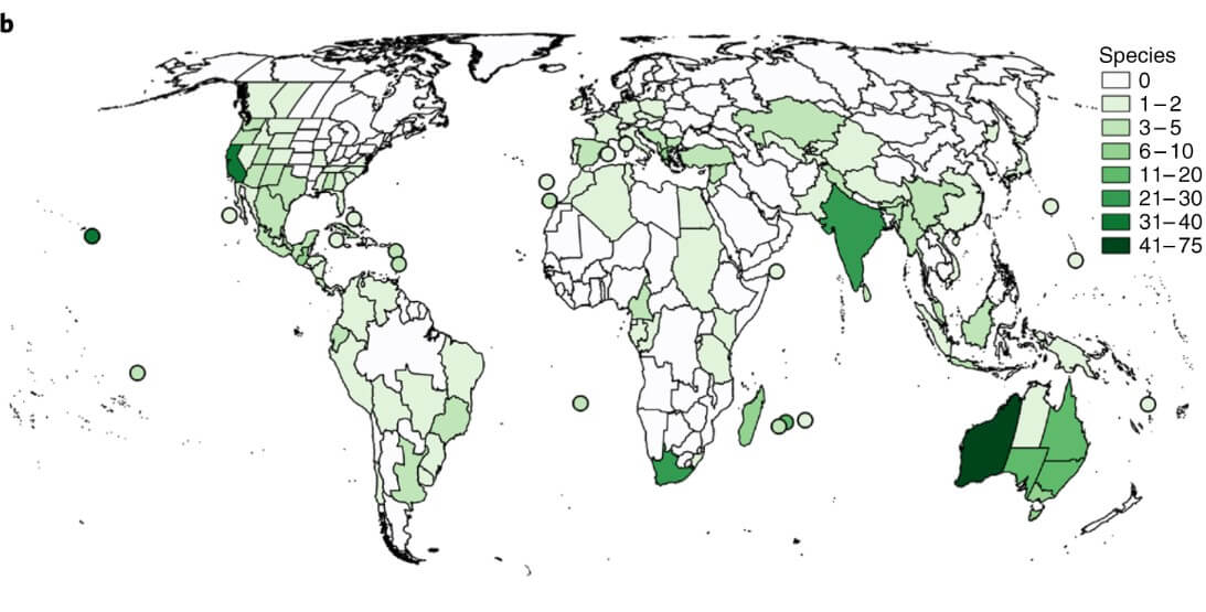 Человечество уничтожает природу. 500 видов растений потеряны безвозвратно.. Вымершие растения могут возрождаться.. Фото.