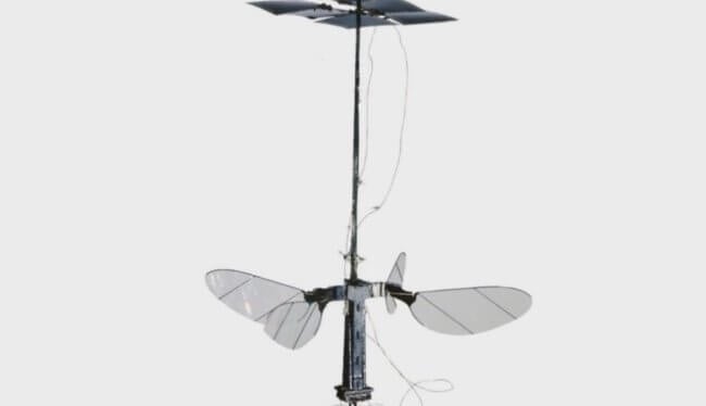 #видео | Самый легкий робот в виде насекомого работает на солнечной энергии. Фото.