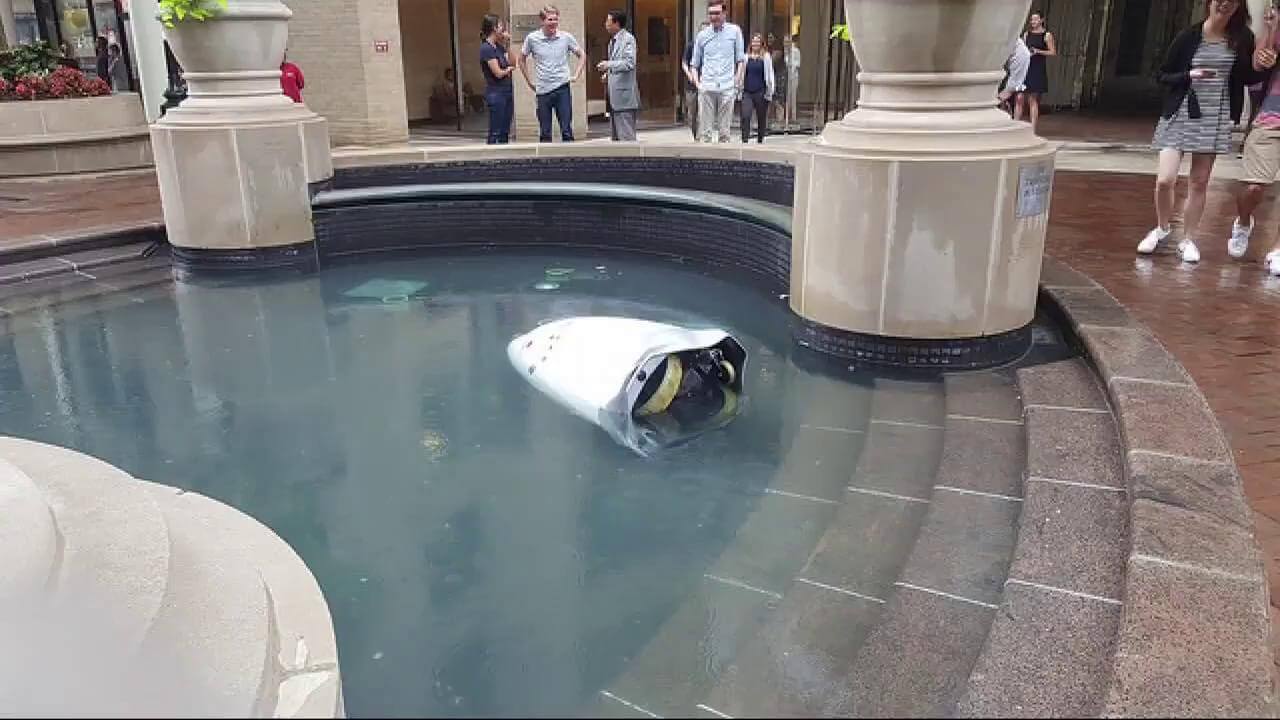 Так себе охранник. Фото.