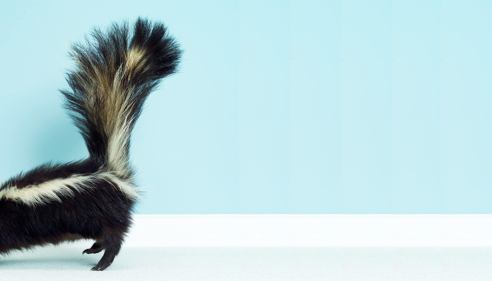 Плохие запахи делают воспоминания более сильными. Фото.