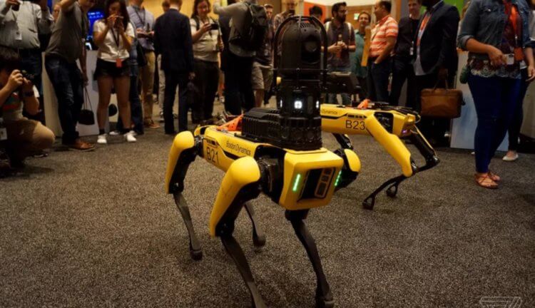 Механические собаки Boston Dynamics станут участниками боев на роботах. Фото.