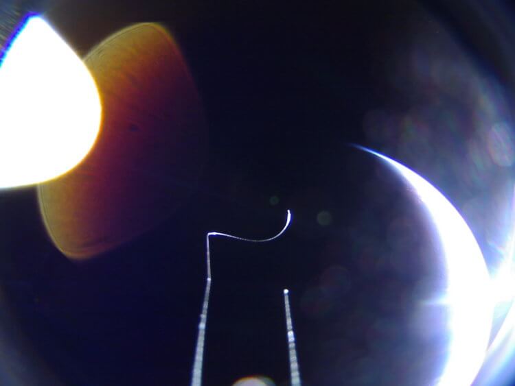 Над Землей раскрылся огромный солнечный парус LightSail 2. Новый спутник LightSail. Фото.