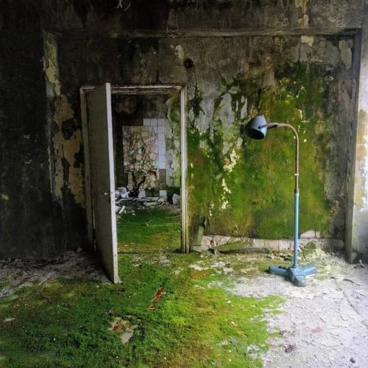 Как выглядит Чернобыль сегодня? Как выглядит Чернобыль сегодня? Фото.