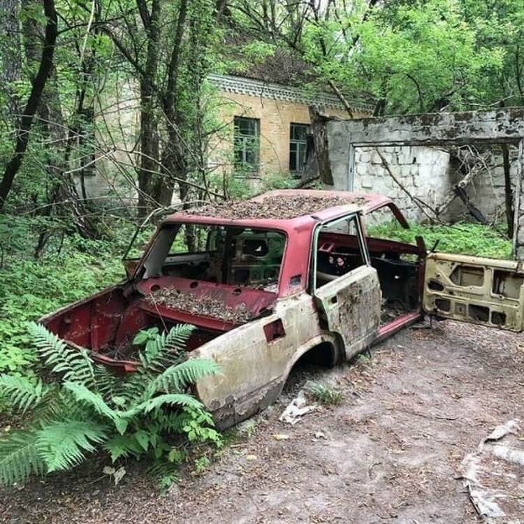 Как выглядит Чернобыль сегодня? Как выглядит Чернобыль сегодня? Фото.