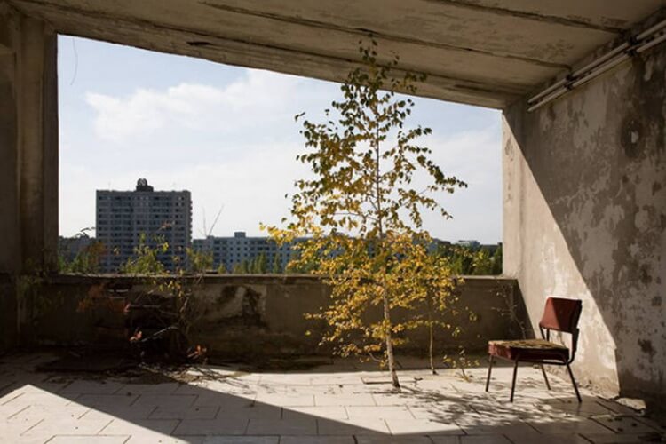 Как выглядит Чернобыль сегодня? Как выглядит Чернобыль сегодня? Фото.