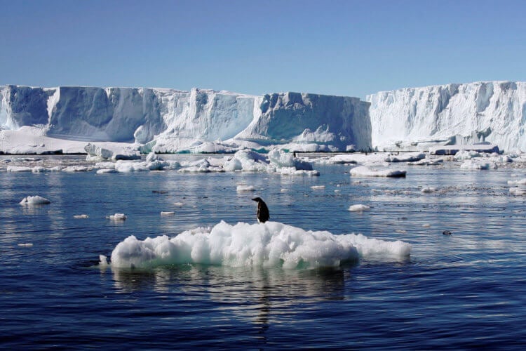 Ученые: к 2030 году человечество ждет малый ледниковый период. Глобальное потепление вызовет ледниковый период. Фото.
