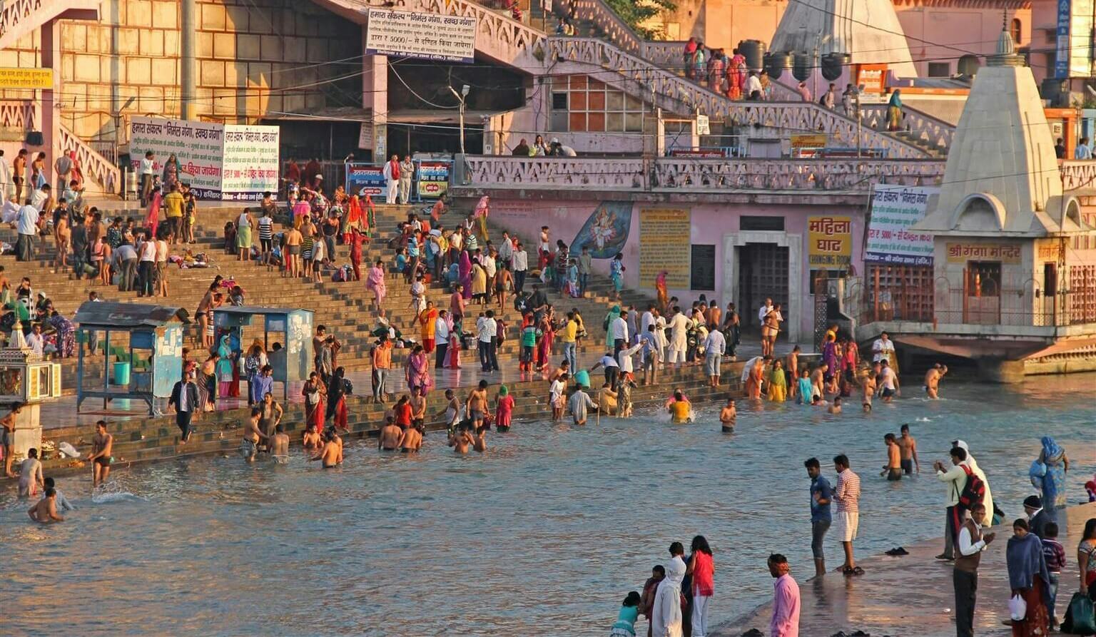 Этот гель полностью состоит из вирусов и может уничтожать бактерии и пластик. Полезные вирусы. Фото.