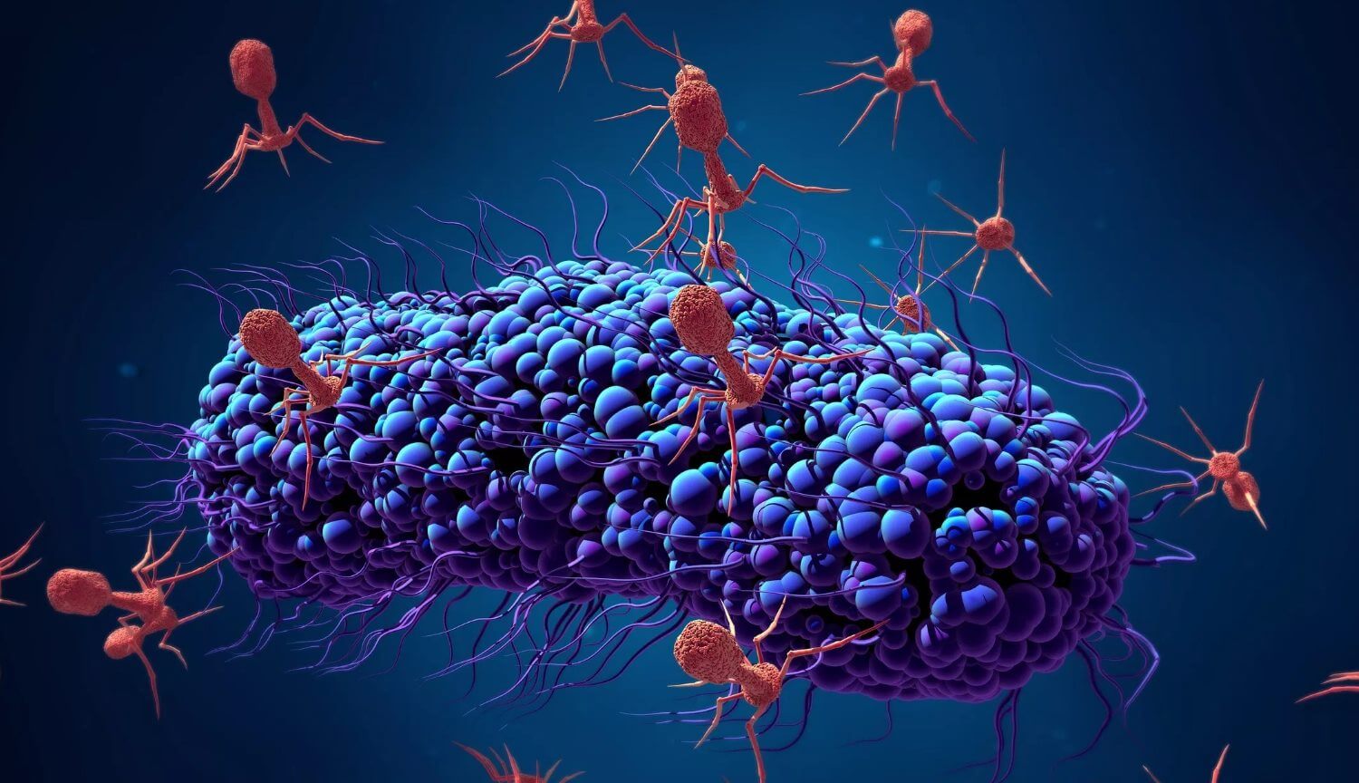 Этот гель полностью состоит из вирусов и может уничтожать бактерии и пластик. Фото.