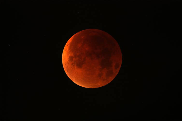 Почему животные во время затмений ведут себя странно.. Как ведут себя животные во время лунного затмения?. Фото.