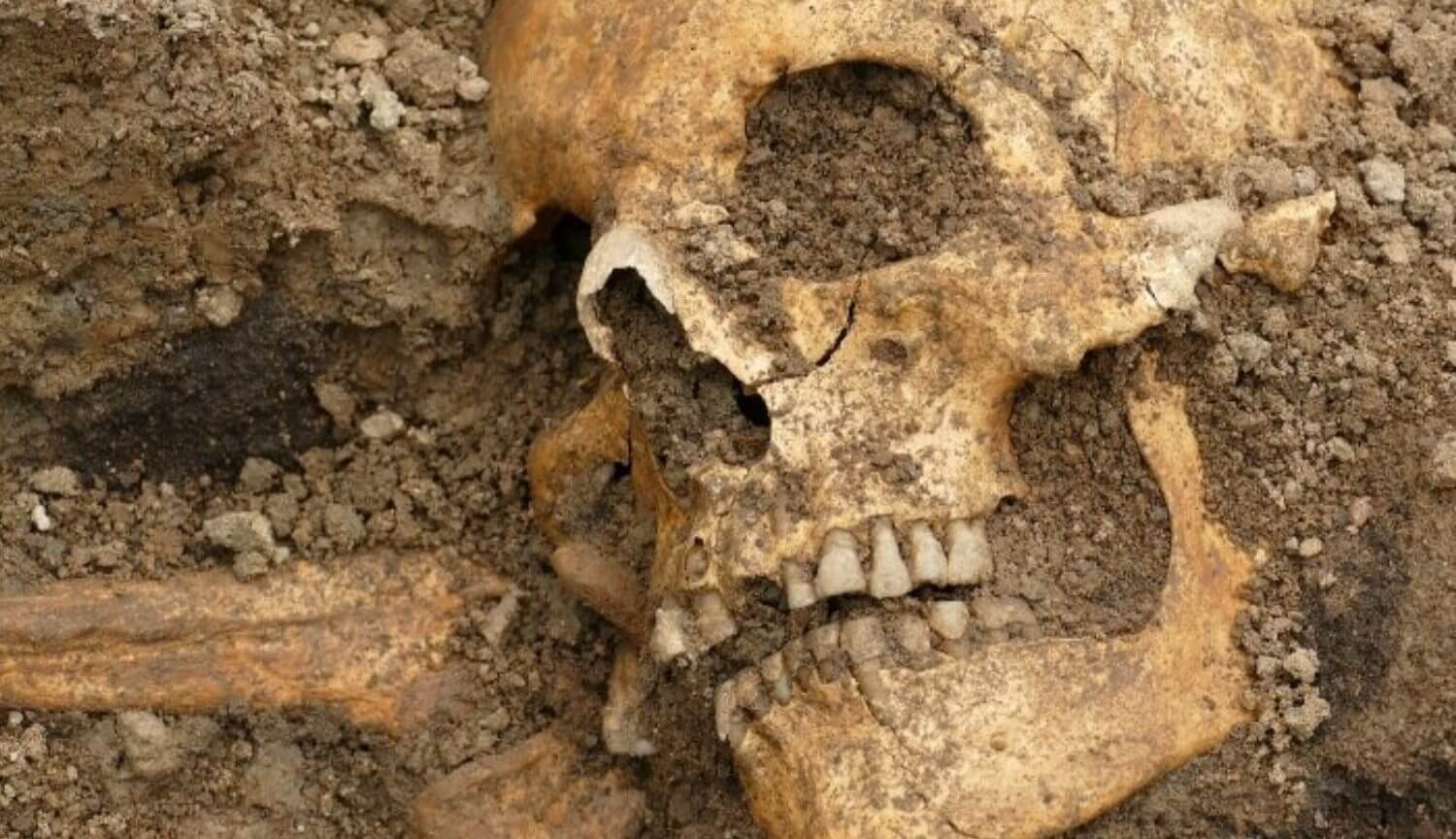 В Швеции нашли необычный корабль викингов с мертвыми телами и драгоценностями.. Фото.