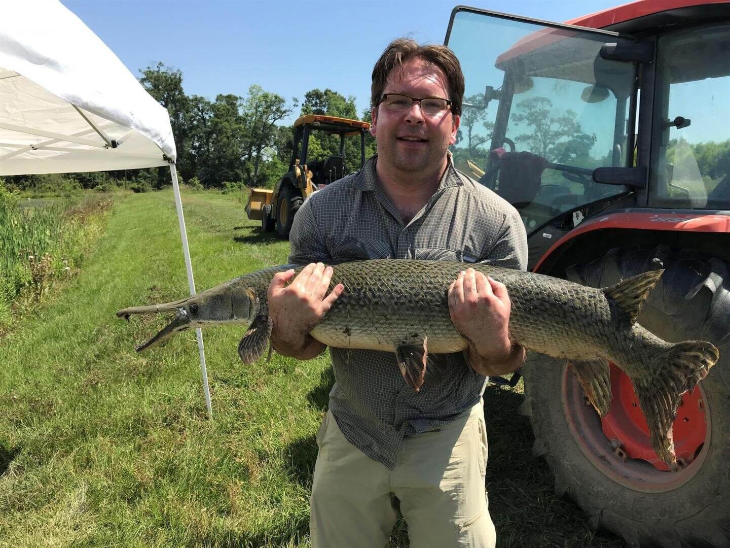 Как древняя рыба поможет людям восстанавливать утраченные конечности. Фото.