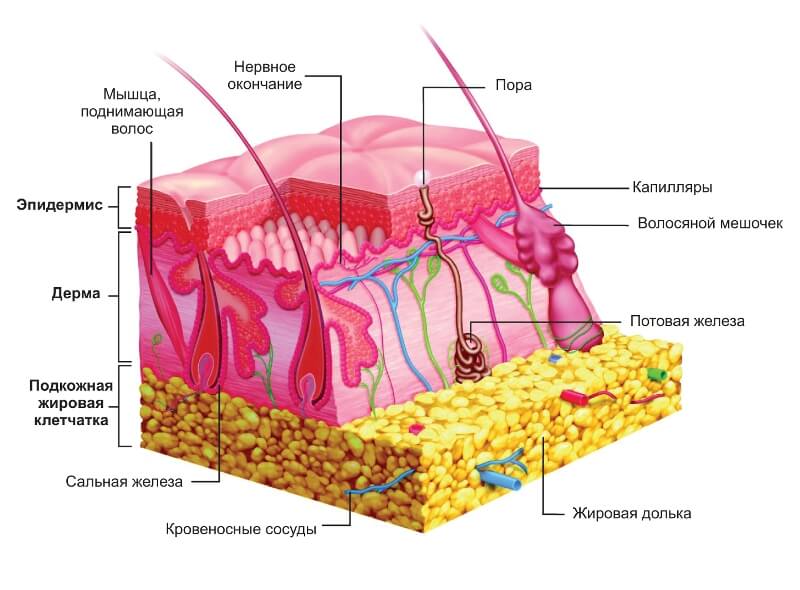 Татуировка может рассказать о состоянии вашего здоровья.. Новая краска для татуировок.. Фото.