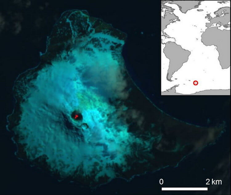 Рядом с Антарктидой обнаружен очень редкий вид вулкана. В чем его особенность? Редкая находка. Фото.