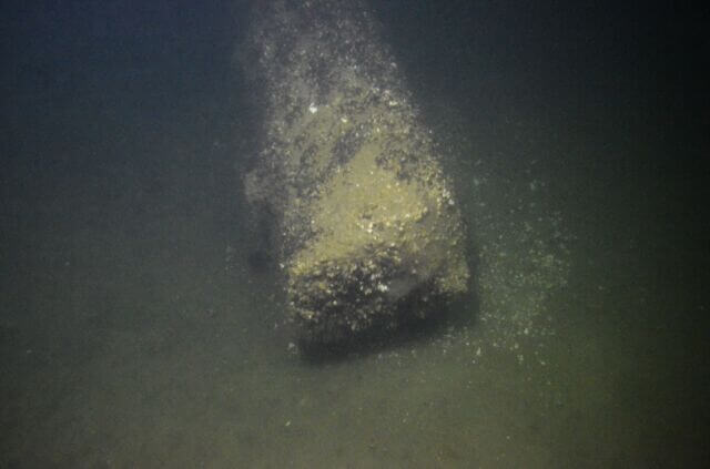 Под водой обнаружен древний лес, которому 10000 лет. Как обнаружили древний лес. Фото.