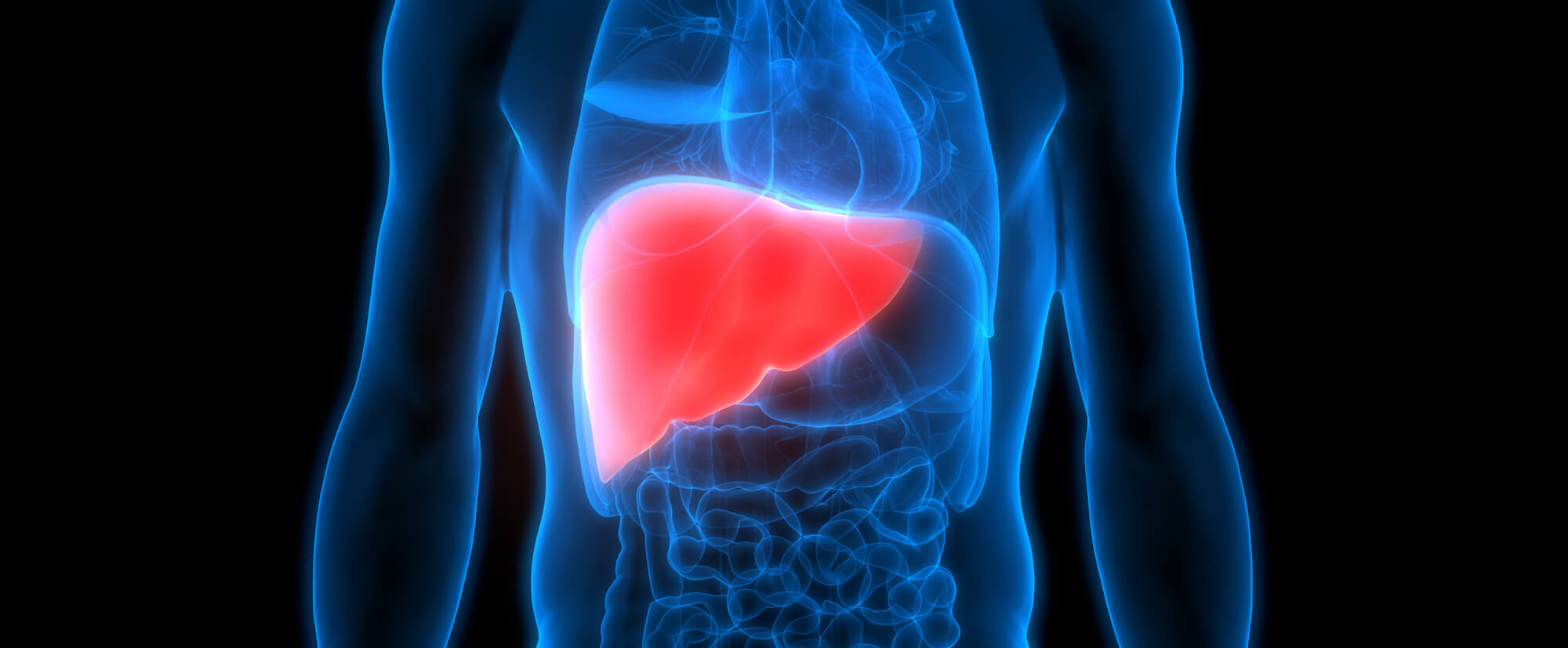 Открыт новый вид клеток, который может спасти тысячи жизней. И это не стволовые клетки. Как открыли новый вид клеток. Фото.