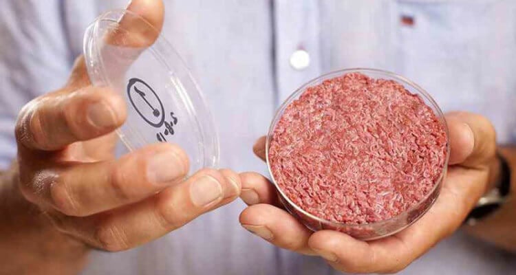 Искусственное мясо вскоре вытеснит настоящее. Почему искусственное мясо дороже? Фото.