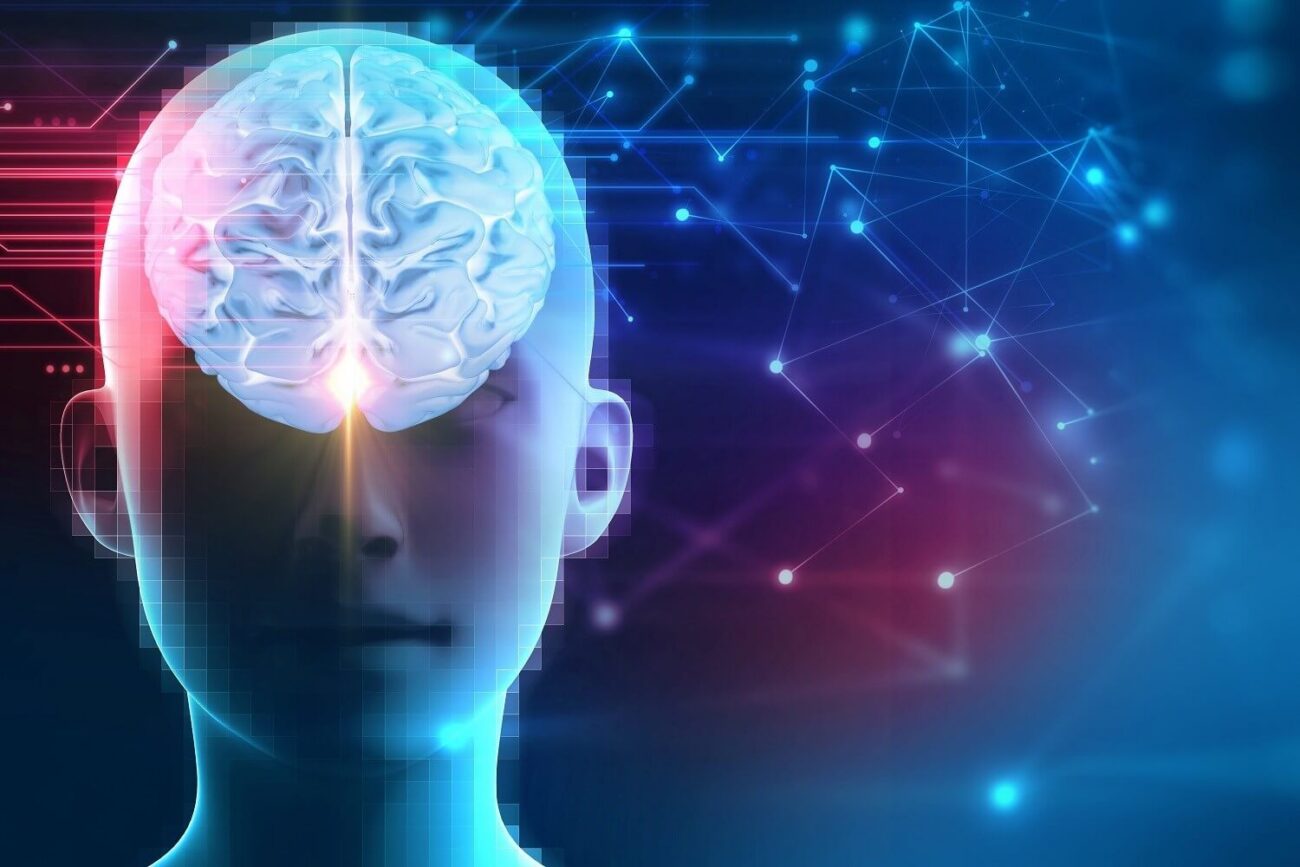 Медики поняли, как мозг запоминает решения и накапливает опыт.. Фото.