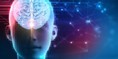 Медики поняли, как мозг запоминает решения и накапливает опыт. Фото.