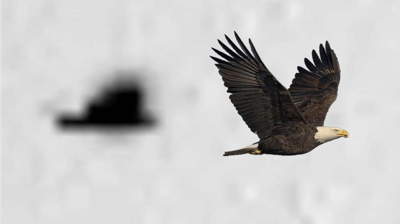 Марсоход «Кьюриосити» находится на Земле. Уфологи обвинили NASA в обмане из-за снимков с Марса. На Марсе есть жизнь? Фото.