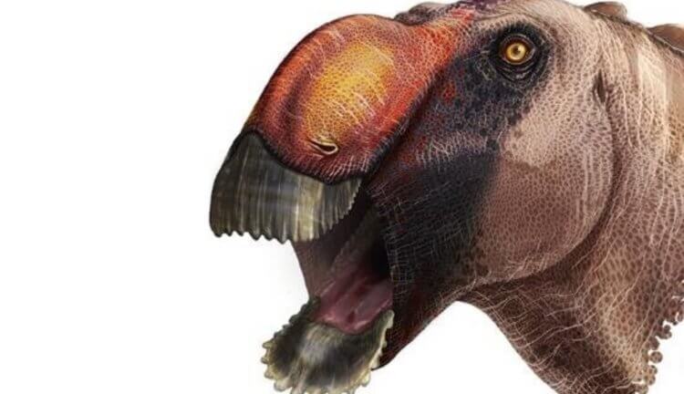 Ученые открыли нового динозавра. Он был похож на утку. Фото.