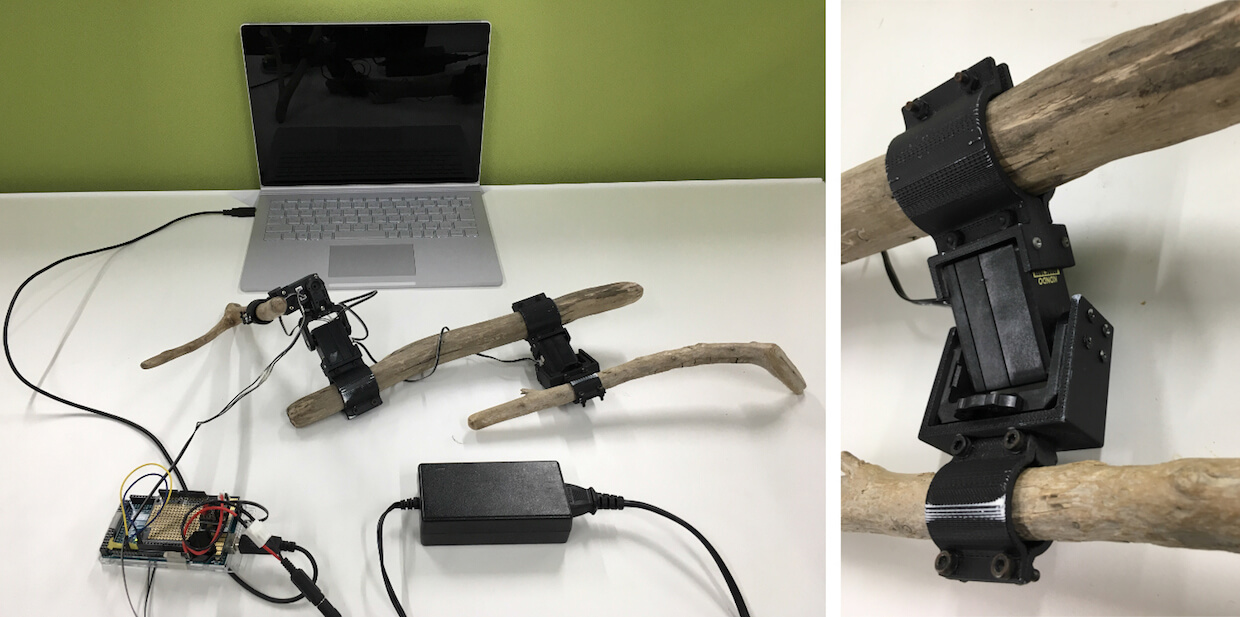 «Из нейросетей и палок»: как необычного робота научили ходить.. Роботы из веток.. Фото.