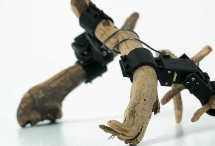 «Из нейросетей и палок»: как необычного робота научили ходить. Фото.
