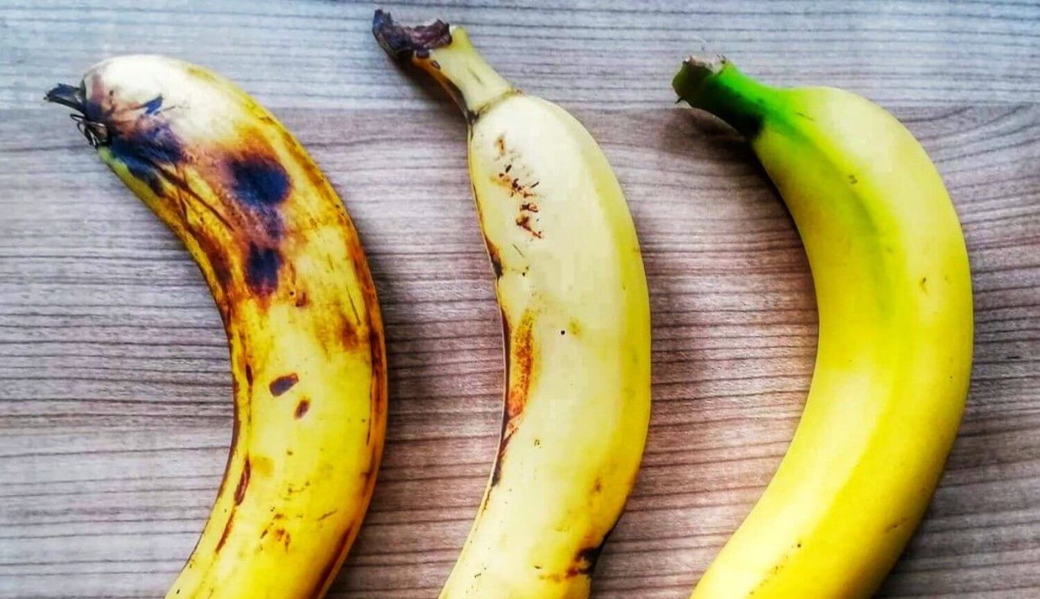 Почему бананы могут исчезнуть с лица Земли? - Hi-News.ru