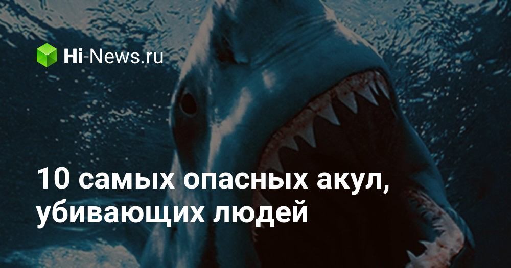 Правда что акулы боятся пузырьков