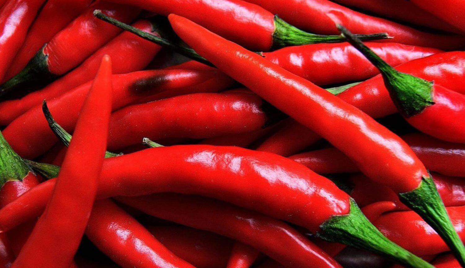 США посадят перец в космосе. Когда будет собран первый урожай? Фото.