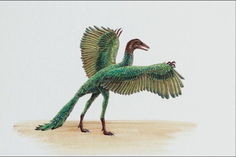 Китай — родина летающих динозавров. Фото.