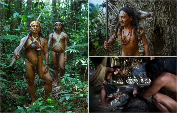 Чем грозит потеря Амазонки? На фото представители неконтактных племен Амазонки. Фото.