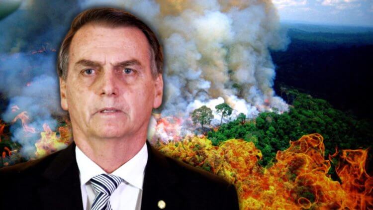 Чем грозит потеря Амазонки? Президент Бразилии Жаир Болсонару на фоне горящих лесов. Фото.