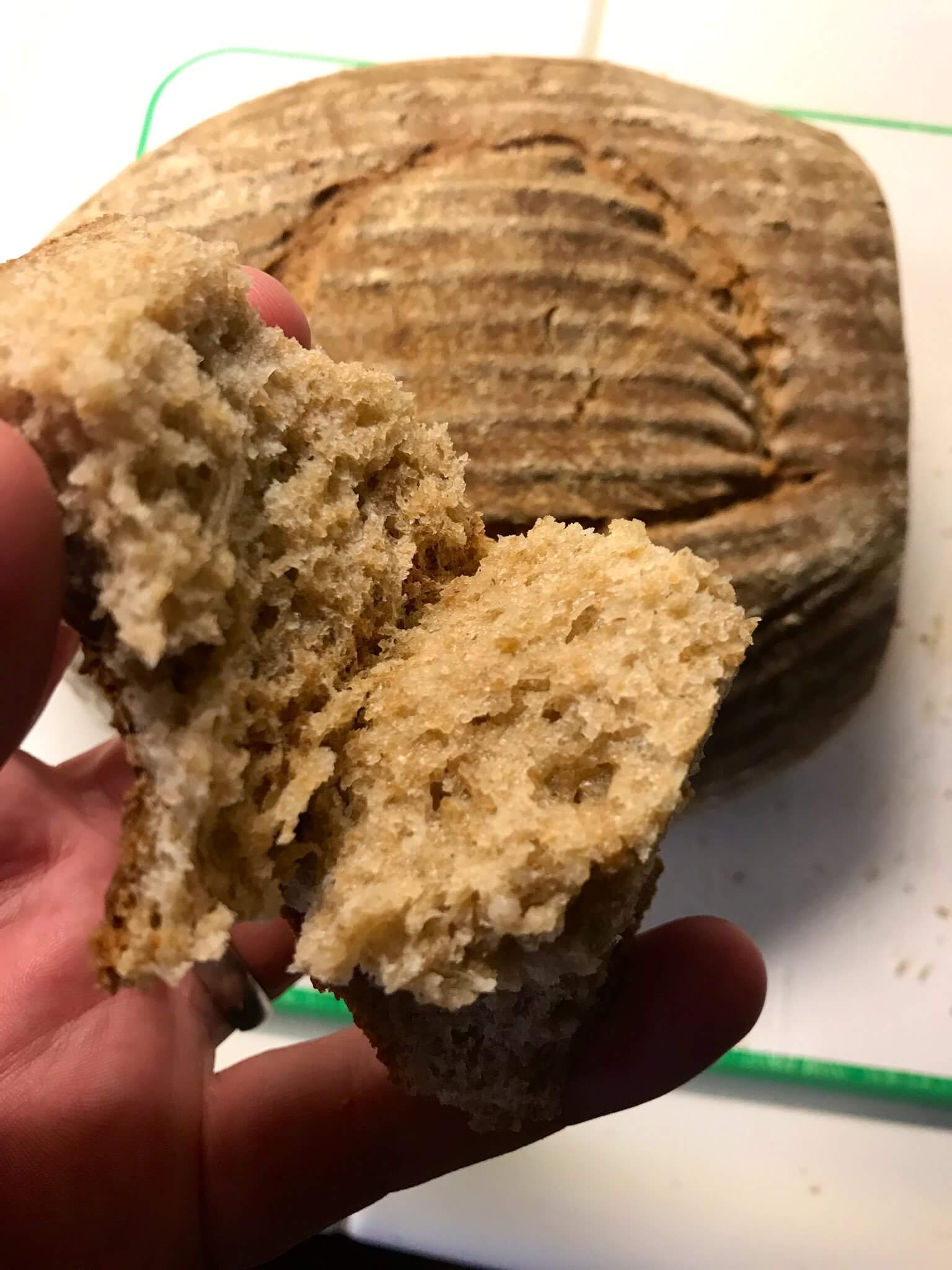 Хлеб в древности. Хлеб в древнем Египте. Египетский хлеб в древности. Необычный хлеб. Хлеб в Египте.