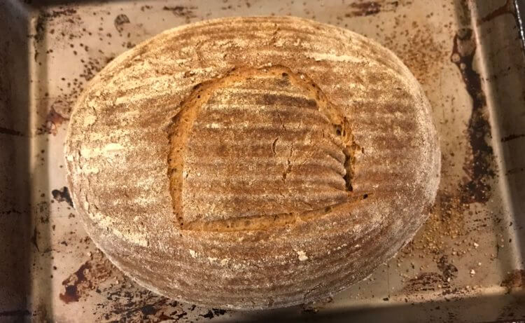 Как испечь хлеб, который ели египетские фараоны? Фото.