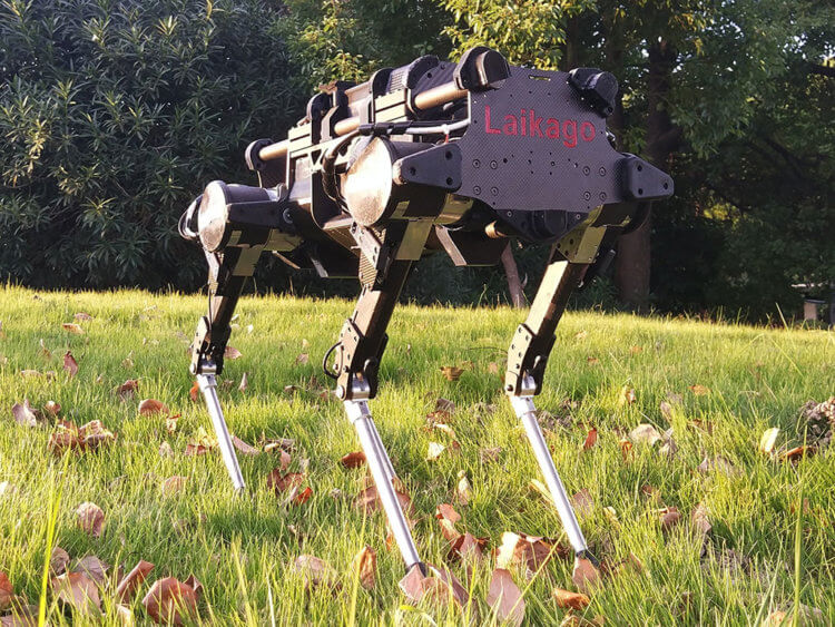 #видео | Китайские роботы такие же сильные, как ездовые собаки. Что умеет роботизированная собака? Фото.