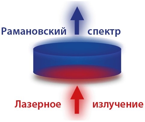 Как образуется метан? Изображение взято на сайте www.szl.ru. Фото.