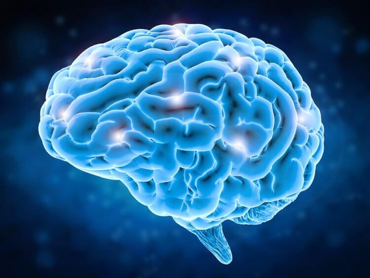 Ученые поняли, как мозг запоминает последовательность событий. Как работает память у человека? Фото.