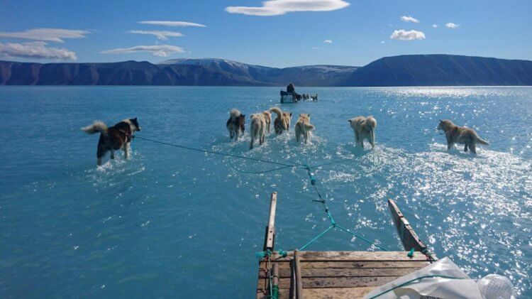 Гренландия начала таять. И это проблема для всего мира. Фото.