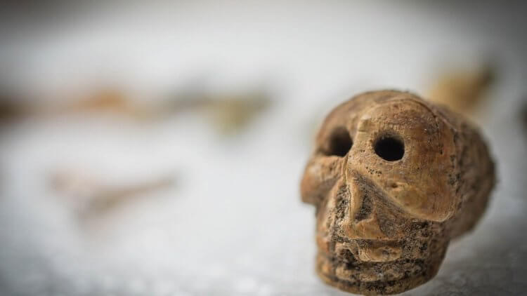 В Помпеях найден ящик с колдовскими предметами. Кому они принадлежали? Фото.