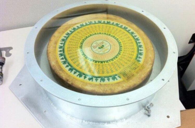 Самый необычный сыр. Кусок космического сыра от Илона Маска. Фото.