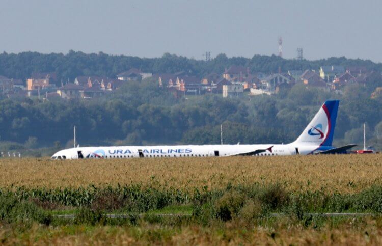 Почему птицы сталкиваются с самолетами? Airbus A321 «Уральских авиалиний» после посадки на поле, 15 августа 2019 года. Фото.