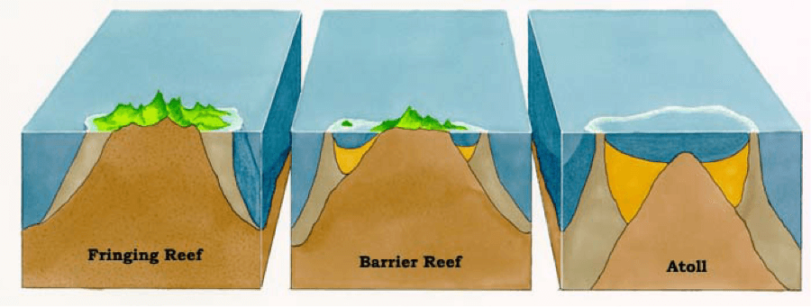 Почему атоллы имеют кольцеобразную форму? Схема образования атолла. Фото.