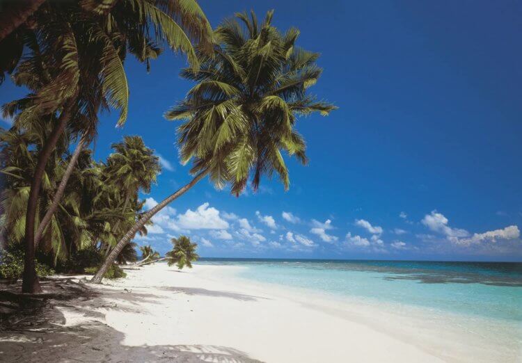 Почему атоллы имеют кольцеобразную форму? Мальдивы — райский уголок на Земле. Фото.