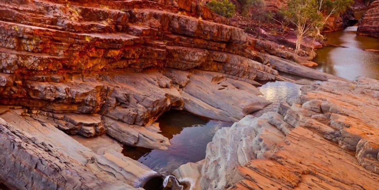 Примерно в такой местности и были обнаружен древнейшие окаменелости. Фото.