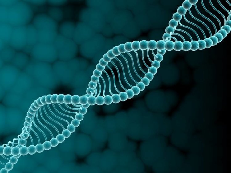 Что такое гены? В геноме человека находится огромное количество вирусных генов. Фото.