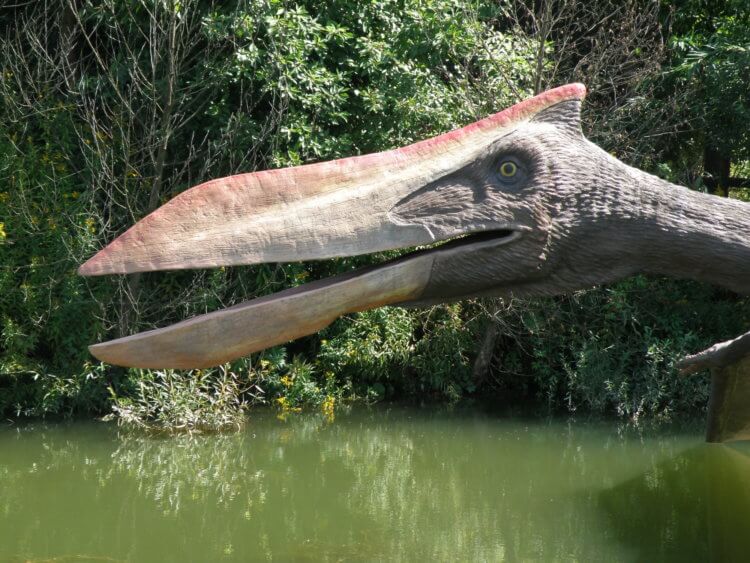 Самый большой динозавр на Земле мог летать