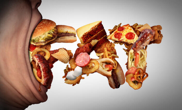 Как жирная пища вредит человеческому мозгу? Заболевания головного мозга могут быть связаны с неправильным питанием. Фото.