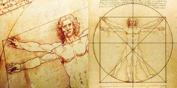 Число Фибоначчи. Почему оно так популярно в природе? «Витрувианский человек» Леонардо да Винчи обладает идеальными пропорциями, основанными на знании свойств числа Фибоначчи. Фото.