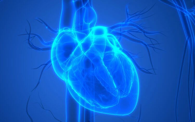 В Чикаго напечатали человеческое мини-сердце. Печать органов — это, несомненно, будущее медицины и трансплатнологии. Фото.