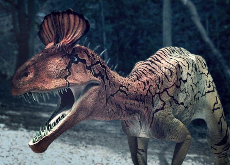 Как выглядела Антарктида в прошлом? Найденный в Антарктиде криолофозавр совмещает в себе особенности тираннозавров и аллозавров, достигая в длину более 8 метров. Фото.